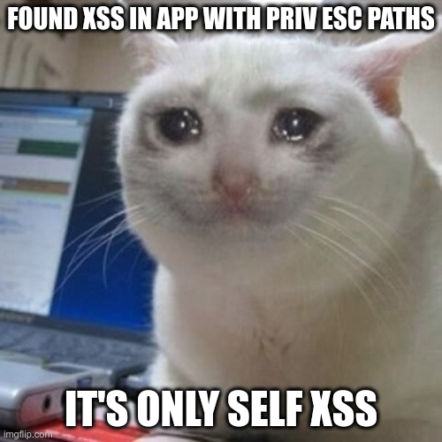 Meme depicting how I felt after finding xss, knowing there was the possibility of instance takeover but only getting self xss